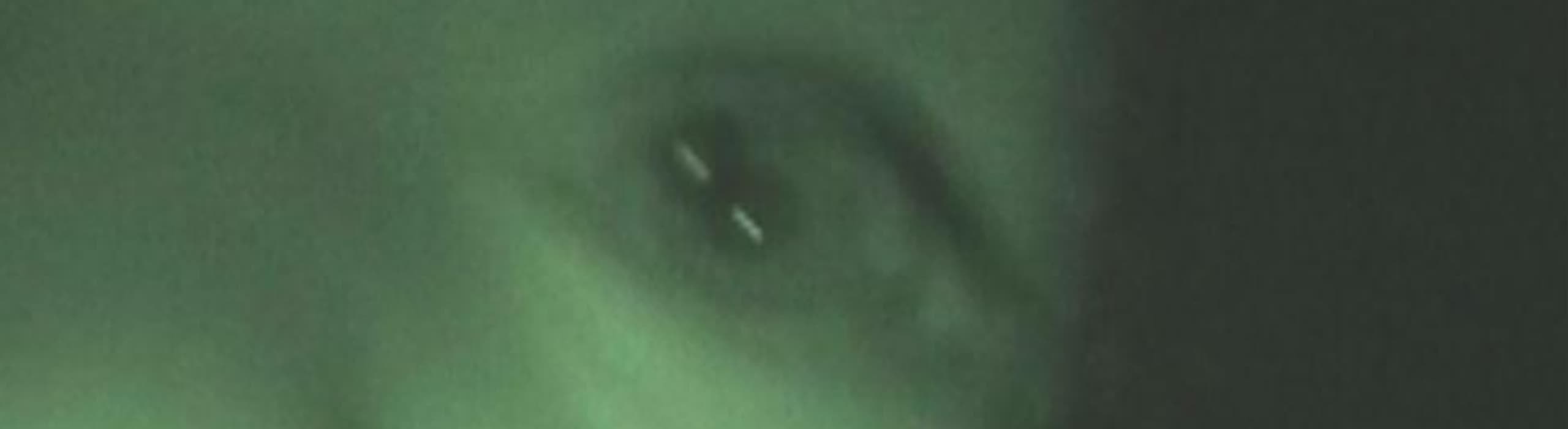 Cover image for Rahnee In The Jungle | 21st October 2025