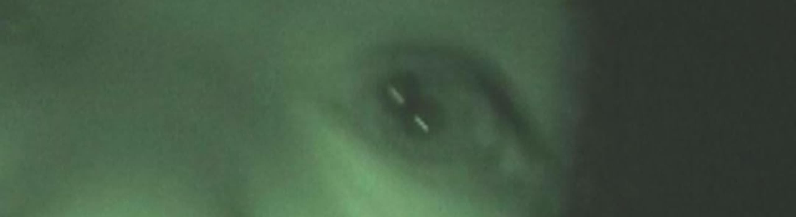 Cover image for Rahnee in the Jungle | 20th January 2026