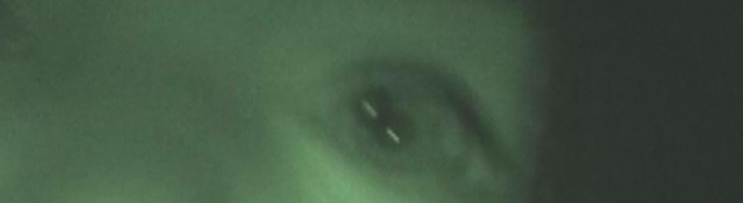 Cover image for Rahnee in the Jungle | 17th February 2026